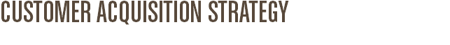 CUSTOMER ACQUISITION STRATEGY